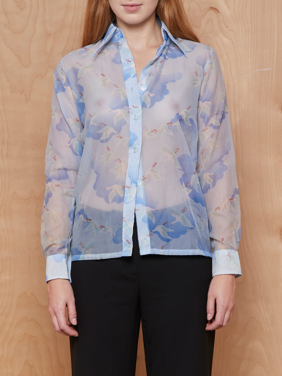Vintage Blue Sheer Bird and Cloud Button Up